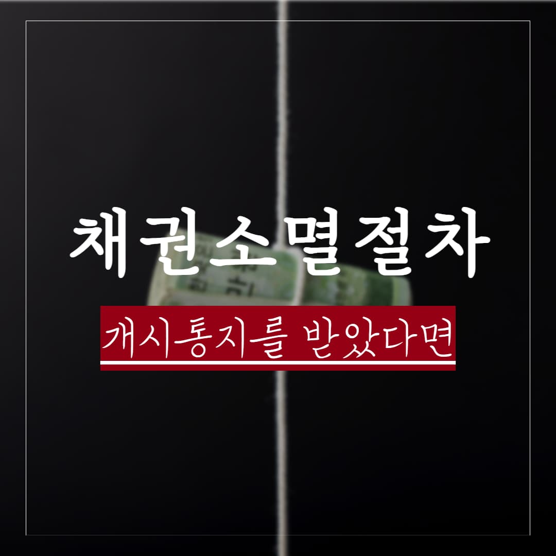채권소멸절차란? 개시통지를 받은 뒤 지급정지 해제와 이의제기