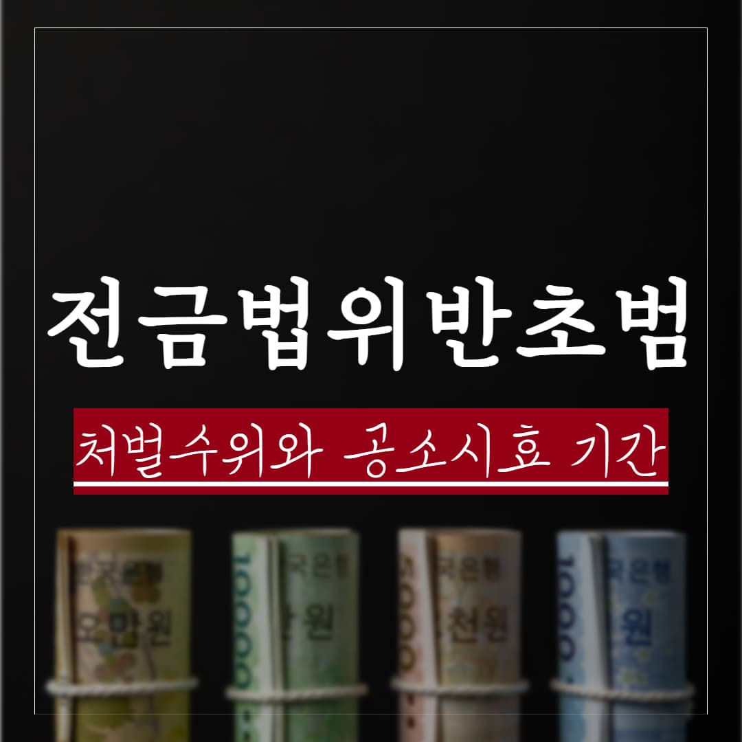 전자금융거래법 위반 초범 처벌 수위, 벌금 기준과 공소시효 정리