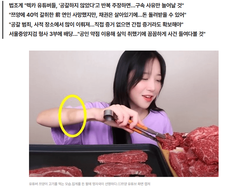 [데일리안] "쯔양 협박한 유튜버들, '공갈 공모' 정황 있기에 기소 가능성" [법조계에 물어보니 449]